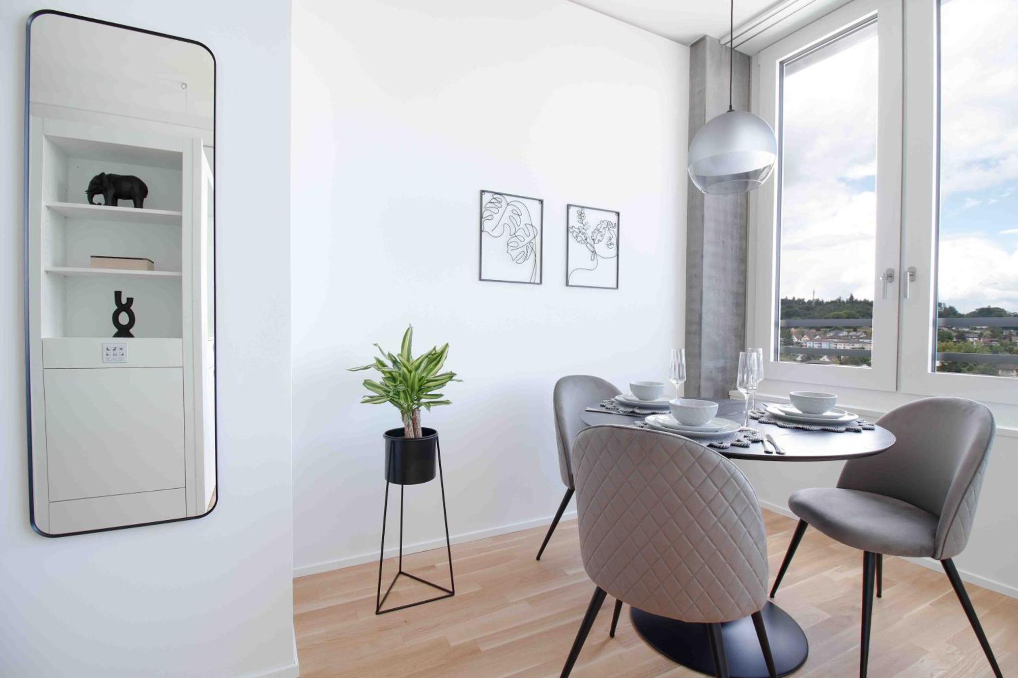 Loewe Apartments Am Rheinfall Нойхаузен-ам-Райнфалль Экстерьер фото