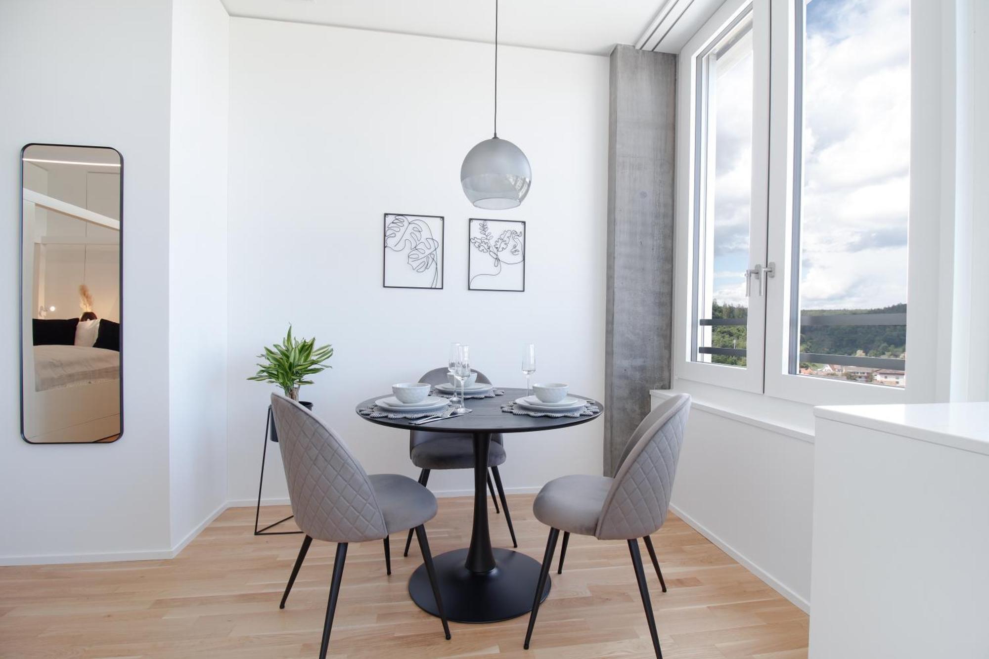 Loewe Apartments Am Rheinfall Нойхаузен-ам-Райнфалль Экстерьер фото