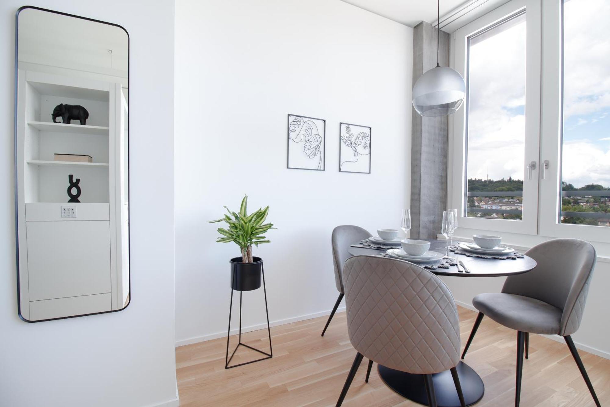 Loewe Apartments Am Rheinfall Нойхаузен-ам-Райнфалль Экстерьер фото